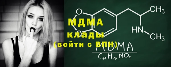 индика Каменногорск