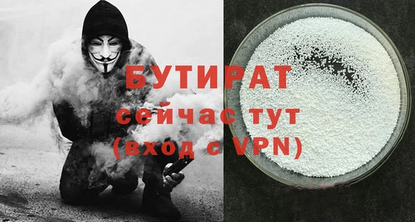 индика Каменногорск