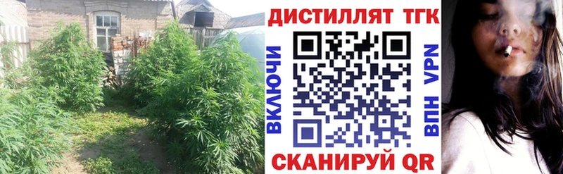 Купить где  Биробиджан  ТГК вейп 