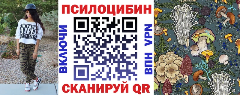 Галлюциногенные грибы Psilocybe Биробиджан