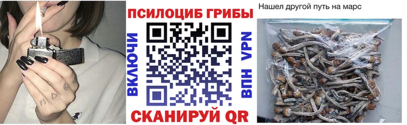 Купить закладки  Биробиджан  Галлюциногенные грибы GOLDEN TEACHER 